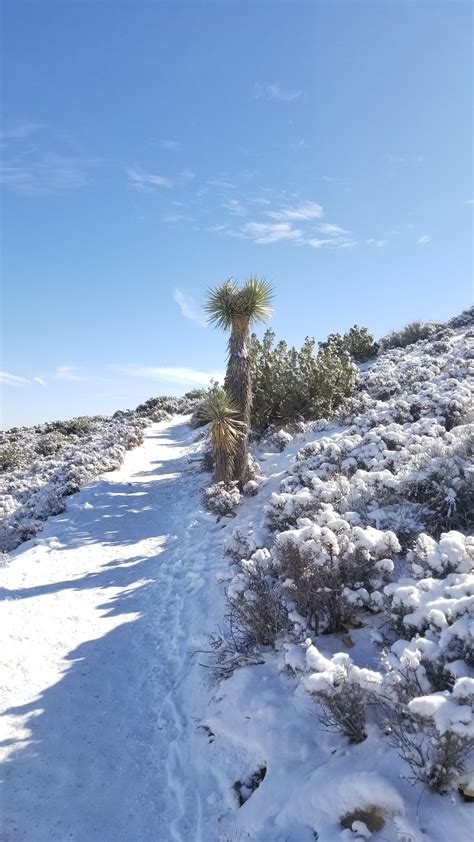Snow In The Desert Joshua Tree National Park Nov 30 2019 Rnationalpark