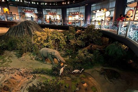 Save glittering fireflies & kuala selangor night tour with dinner to your lists. Petrosains Discovery Centre Admission Ticket With One Way ...