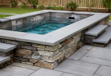 Two Pools In One A Plunge Pool Does Double Duty In 2020 Small