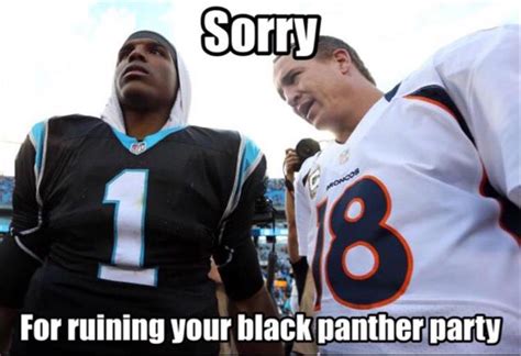 The Funniest Memes From Superbowl 50 18 Pics