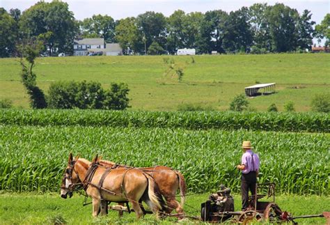 1 Day Tour of Amish Country, Pennsylvania - Road Unraveled