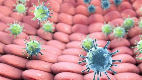 To start with, he conducted a study looking at whether air pollution had an effect on cognitive performance. HPV test may be better than Pap smears to detect early ...