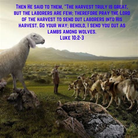 Luke 102 3 Then He Said To Them The Harvest Truly Is Great But The