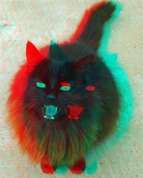 Cat In Anaglyph 3d Red Blue Glasses To View Steve Woodmore Flickr