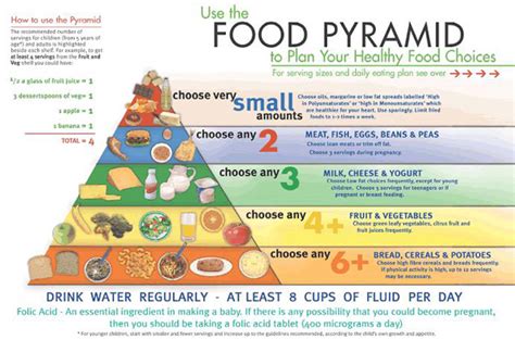 Food Pyramid 8 Really Useful Online Diet Tools Diet