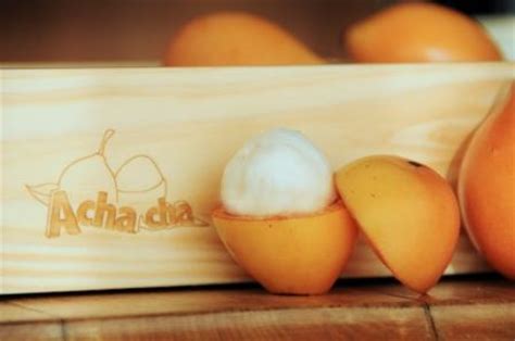 Visits wwoofers & nomads welcome fruit@achacha.com.au www.achacha.com.au. Australian Tropical Foods » Achacha