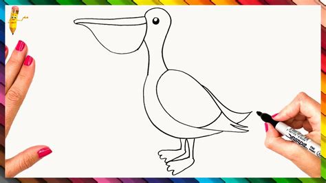 How To Draw A Pelican Step By Step Pelican Drawing Easy Youtube