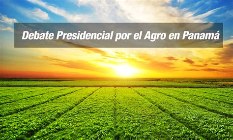 Quién ganó, resumen, mejores frases y propuestas pedro castillo y keiko fujimori se vieron las caras por última vez. Primer Debate Presidencial Por El Agro en Panamá