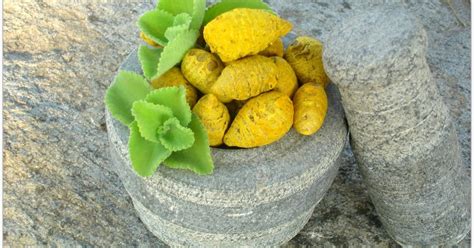 Serious Side Effects Of Turmeric We Should Know Wildturmeric