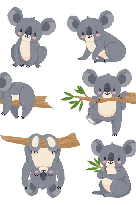 Cute Cartoon Koala Lazy Koalas With Eucalyptus Little Funn