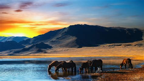 Mongolia Desktop Wallpapers Top Free Mongolia Desktop Backgrounds