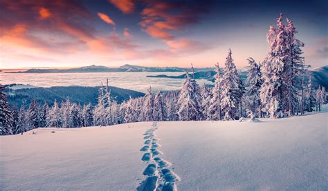 Footprints In The Snow Hd Wallpaper Background Image