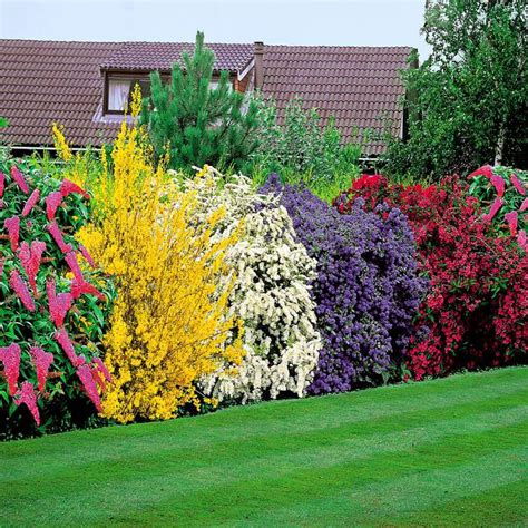 How To Use Landscaping Shrubs For Garden Beautification Landscape Design