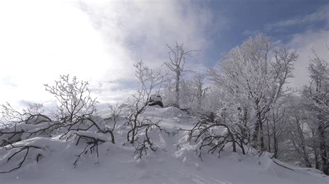 Wind Sounds 2 Hours Cold Winter Wind Blowing Through Frozen Forest