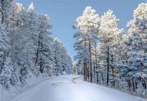 Snow Colorado Trees Winter Nature Wallpaper 2000x1379 336118