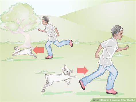 3 Ways To Exercise Your Rabbit Wikihow