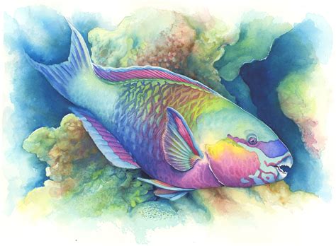 Maury Aaseng Art Of Painting Sea Life In Watercolor On