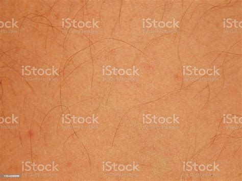 Human Skin Texture In Various Parts Of The Body Stock Photo Download