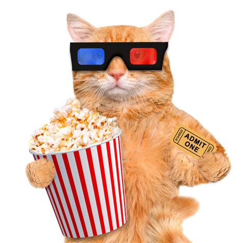 Cat Watching A Movie Stock Image Image Of Popcorn