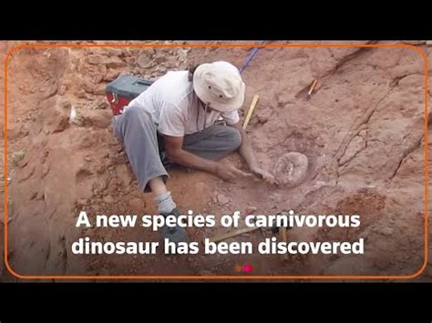 Argentine Scientists Discover New Dinosaur Species YouTube