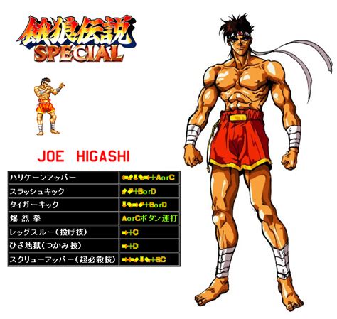 Joe Higashi Fatal Fury Neo Geo Snk Bandages Command List Dark
