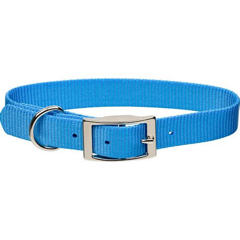 Coastal Pet Metal Buckle Nylon Personalized Dog Collar In Light Blue 3