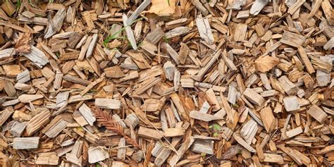 8 Ways To Use Wood Chips In Your Garden Uk