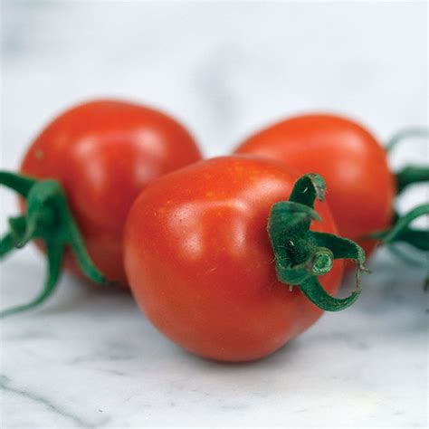 Chadwick Cherry Tomato Seeds Stark Bros