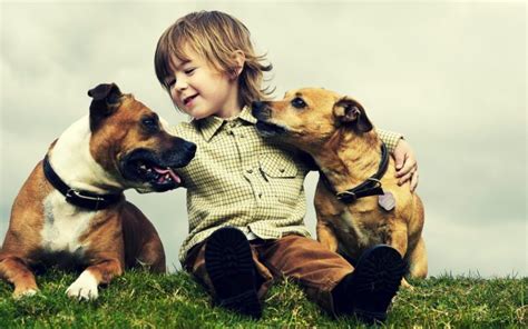 Best Friend Wallpapers Hd Pixelstalknet