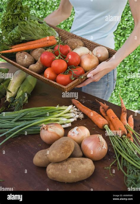 Woman Holding Basket Of Fresh Vegetables Stock Photo Alamy