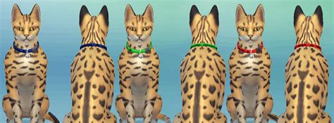 Service Cat Collars Mod Sims 4 Mod Mod For Sims 4