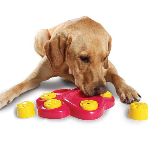 Dog Toys Pet Dog Training Toys Roller Paw Puzzle Slowing Eating Toy For