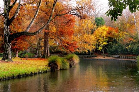 Why Autumn Is One Of New Zealands Most Stunning Seasons