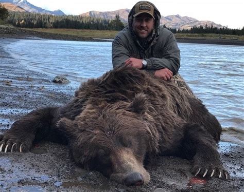 Of that figure, about 700 were taken by alaska residents and roughly 1,200 (or 67 percent) were taken by nonresidents. Alaska Peninsula Brown Bear Hunts | Alaskan Hunts