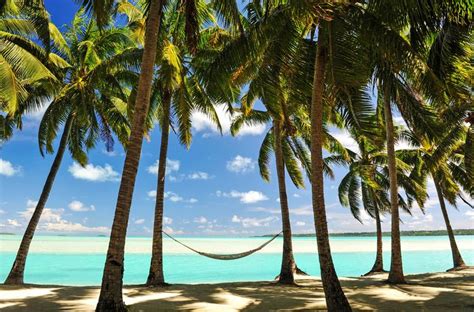 Hammock Strung Between Palm Trees On The Beach