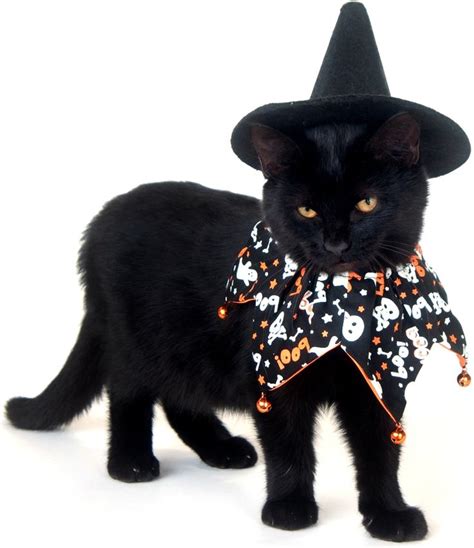 60 best Cats in Costume images on Pinterest | Kitty cats, Cute kittens
