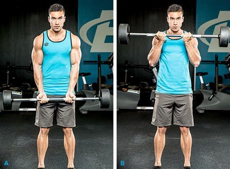 7 Ways To Build Your Biceps Peak