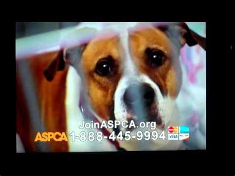 Furkids animal rescue and shelters cat shelter. Sad ASPCA Commercial May 2012 Roberta Flack First time ...