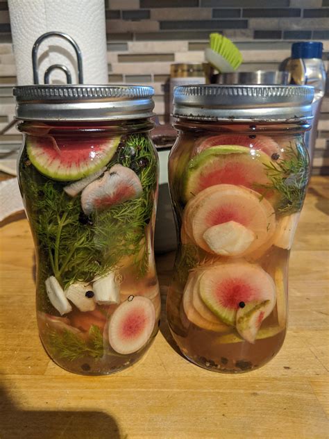 This large radish is beige to green with occasional pink blush on the outside. Picking some colorful watermelon radishes for the first ...