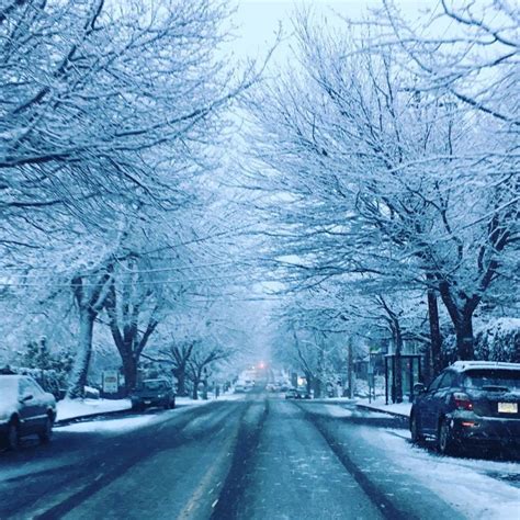 37 Incredible Shots Of Snow In Victoria Over The Past 48 Hours Photos