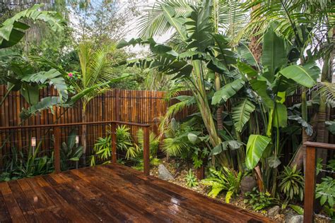 Tropical Backyard Garden Plantation