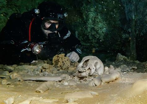 Archaeologists Find Fossils Mayan Relics In Giant Underwater Cave In
