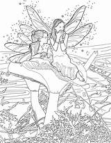 Coloring Fairies Adults sketch template