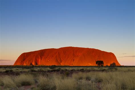 Quandongs in a traditional piti dish. Climbing Australia's important cultural site Uluru will ...