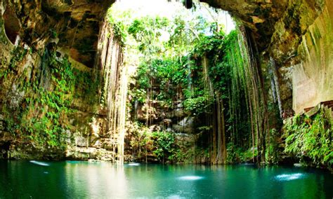Conoce Más Acerca De Los Cenotes En La Riviera Maya Excursiones