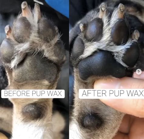 Pin On Dog Paw Care To Relieve Dry Itchy Cracked Pads