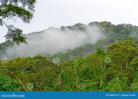 Cloud Forests In The Mountains Stock Photo Image Of Pretty East