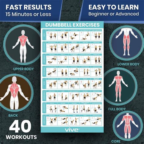 Vive Dumbbell Workout Poster Home Gym Exercise For Upper Lower Full