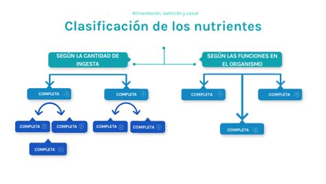 Clasificaci N De Los Nutrientes