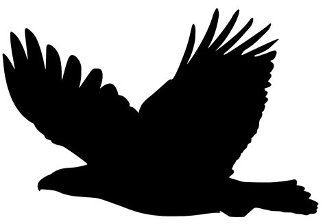 SVG Adler Vogel Fliegend Kostenloses SVG Bild Symbol SVG Silh